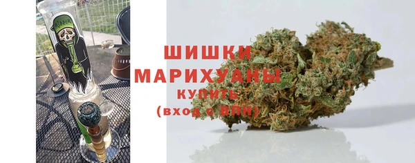прущий лед Богданович